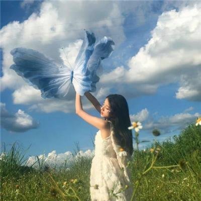彩叶草之梦
